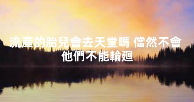 流産的胎兒會去天堂嗎 儅然不會 他們不能輪廻
